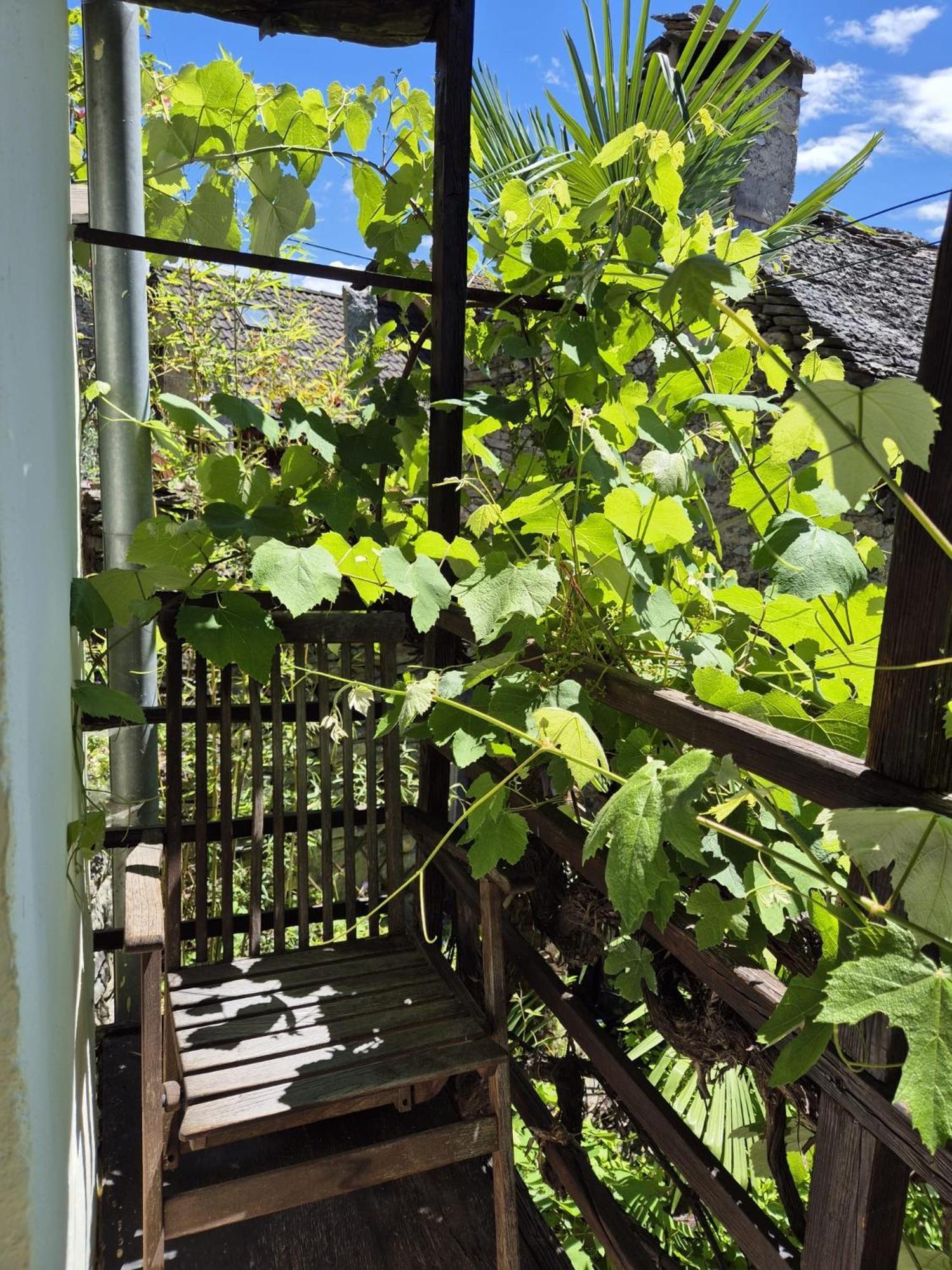 Casa Grillino Apartment Locarno Cameră foto
